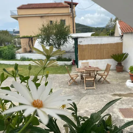 Roula S Cozy With Private Yard & Parking Apartment