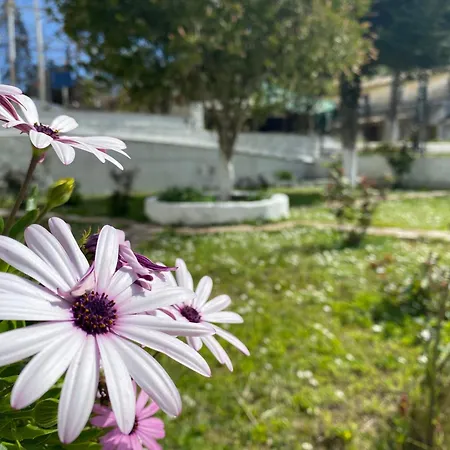 Apartment Roula S Cozy With Private Yard & Parking Vatos