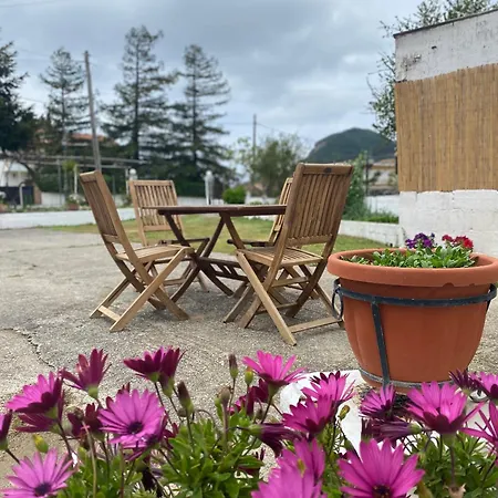 Roula S Cozy With Private Yard & Parking Apartment Vatos